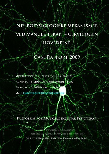 Neurofysiologiske mekanismer ved manuel terapi - Fagforum for ...