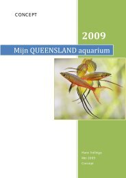 Mijn QUEENSLAND aquarium - Aquaforum