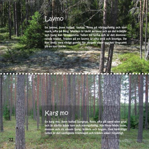 skogen är full av liv