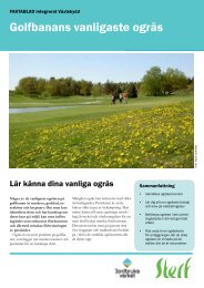 Golfbanans vanligaste ogräs - STERF - Golf.se