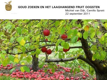 Workshop "Goud zoeken en het laaghangend fruit oogsten"
