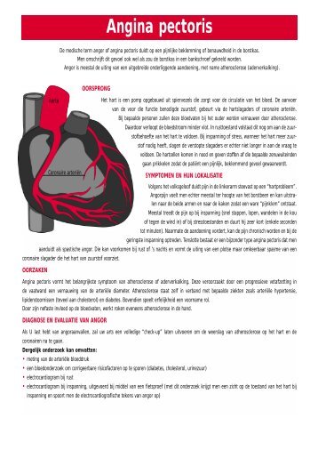 Uitleg angina pectoris.pdf - t Lichtpuntje