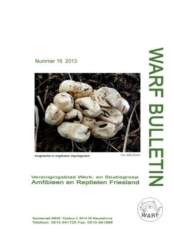 Download WARF Bulletin 16 (2013) - Ravon