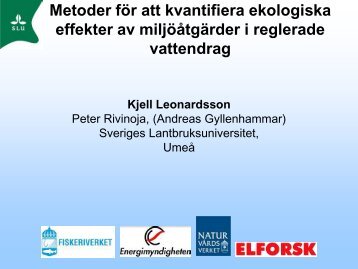 Kjell Leonardsson, SLU - vattenkraft - miljöeffekter, åtgärder och ...