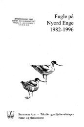 Fugle på Nyord Enge 1982-1996 - DOF Storstrøm