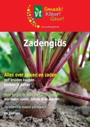 Download een PDF-versie van de zadengids - VT Zaden
