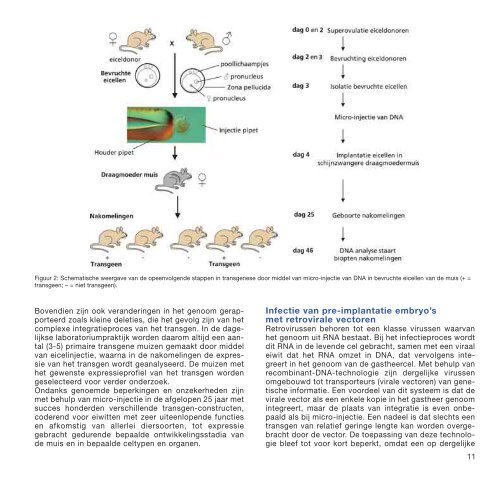 Transgene dieren