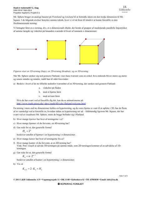 Projekt 0.1 Flatland. Kan du forestille dig det? - Gymportalen