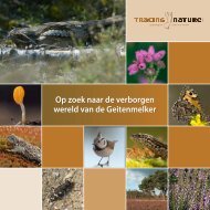 informatieboekje - FSC