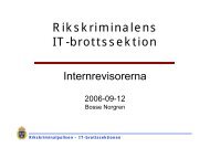 Rikskriminalpolisen – IT-brottssektionen