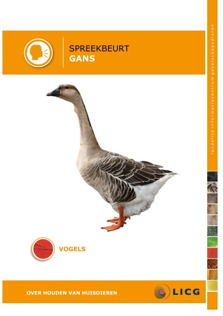 Download de gans spreekbeurt - Kids - LICG