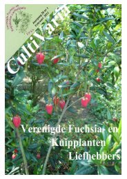 CultiVaria nummer 1 / 2012 - Verenigde Fuchsia en Kuipplanten ...
