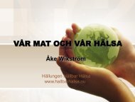 Åke Wikström, pdf - Fobo