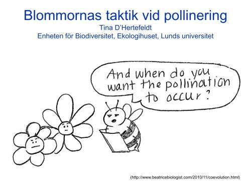 Blommor och bin