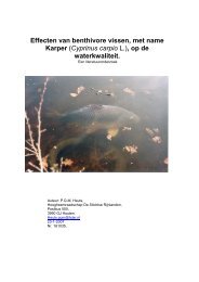 Effecten van benthivore vissen, met name - Belangenvereniging ...