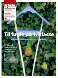 Til fugle på 1. klasse