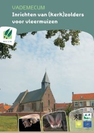 VADEMECUM Inrichten van (kerk)zolders voor vleermuizen