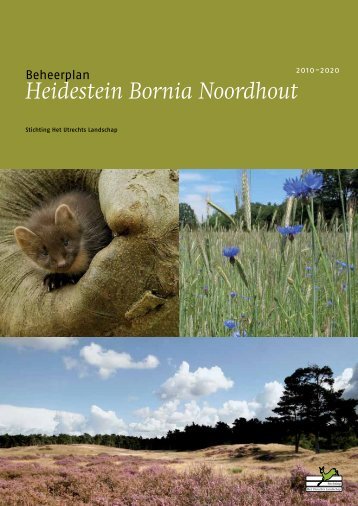 Heidestein Bornia Noordhout - Utrechts Landschap