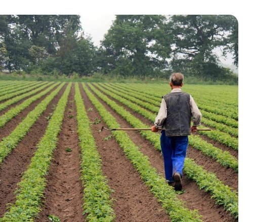 Hoe groen zijn de groenten van HAK? - PersPagina