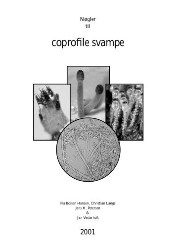 coprofile svampe - Mycokey