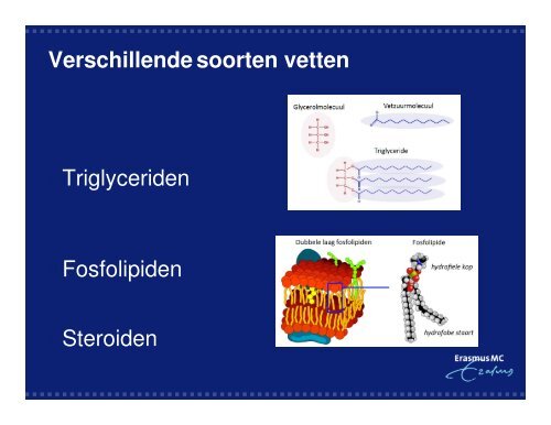 Erfelijke dyslipidemieen - Nvhvv