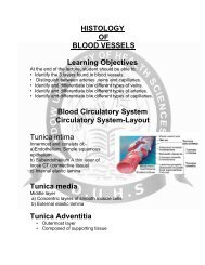 HISTO Histology of blood vessels