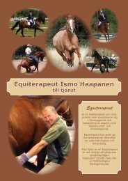 Equiterapeut Ismo Haapanen - HorseWell