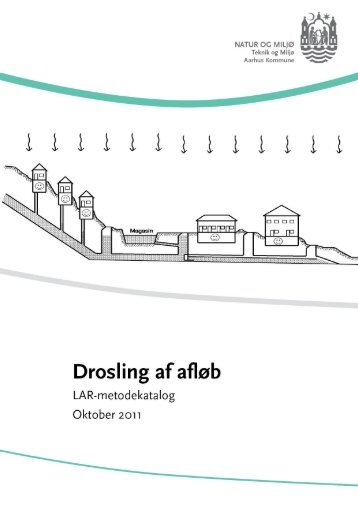 Drosling af vandløb (åbner nyt vindue) (pdf 806 KB) - Aarhus.dk