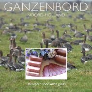 Ganzenbord Noord-Holland - Clm