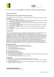 Leerstijlen - CPS