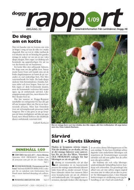 Doggy-Rapport nr 1-09.qxd