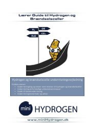 Lærer Guide til Hydrogen og Brændselsceller - skolebutik.dk