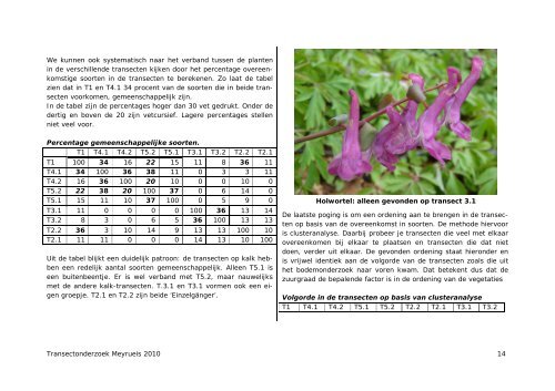 Transectonderzoek