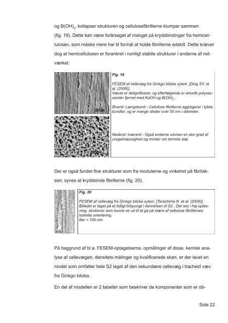 Mekanismer for brun- og hvidmuld svampes nedbrydning af tr - Nature