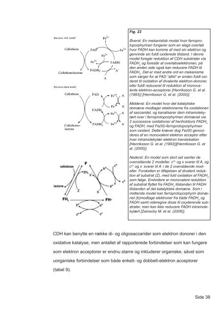 Mekanismer for brun- og hvidmuld svampes nedbrydning af tr - Nature