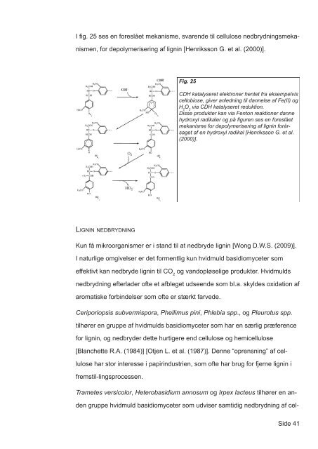 Mekanismer for brun- og hvidmuld svampes nedbrydning af tr - Nature