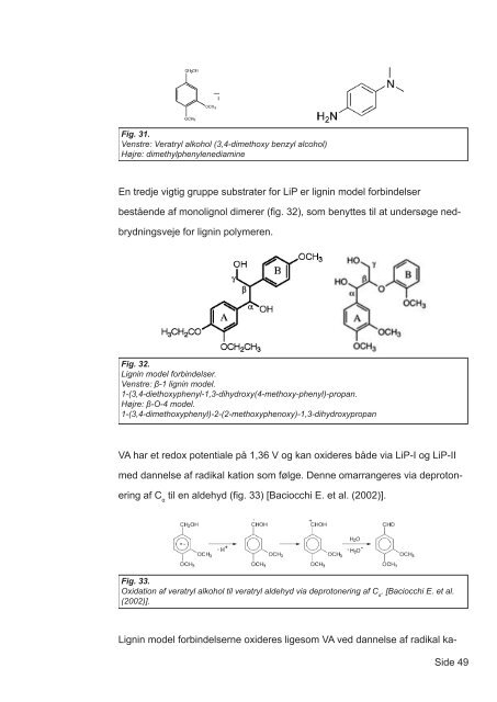 Mekanismer for brun- og hvidmuld svampes nedbrydning af tr - Nature