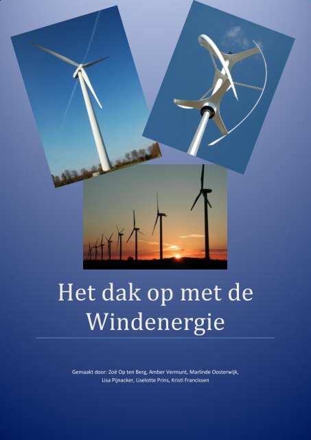 Het dak op met de Windenergie - Duurzaam Almere