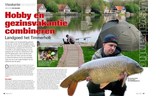 Klik hier - Dreambaits