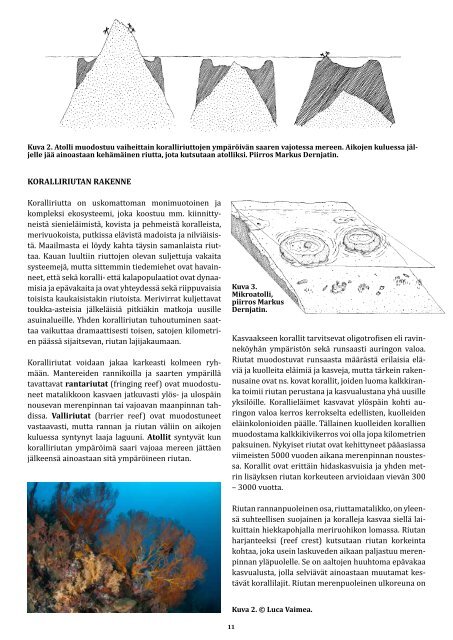 ilmaista matkalukemista: koralliriutan ekologiaa - Raya Divers