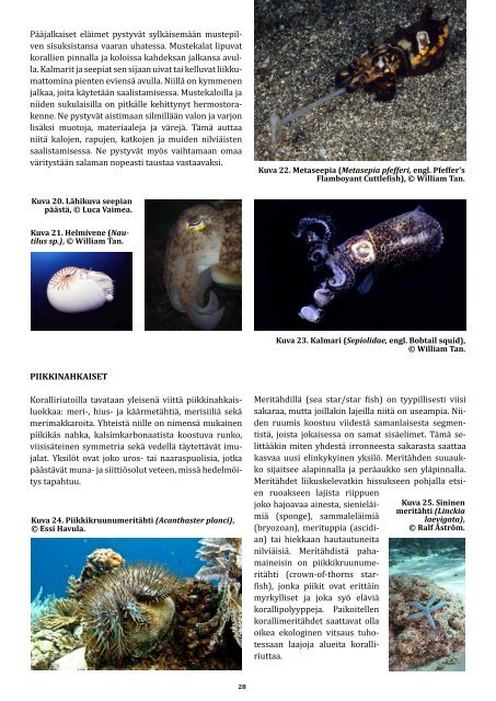 ilmaista matkalukemista: koralliriutan ekologiaa - Raya Divers