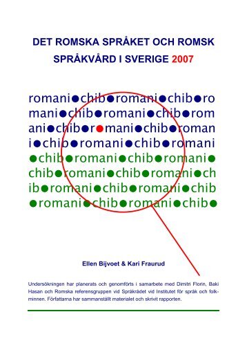 Det romska språket och romsk språkvård i Sverige 2007