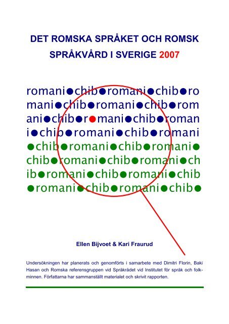 Det romska språket och romsk språkvård i Sverige 2007