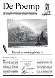 Diamant en ons dorpsgeheugen (3) - De Poemp