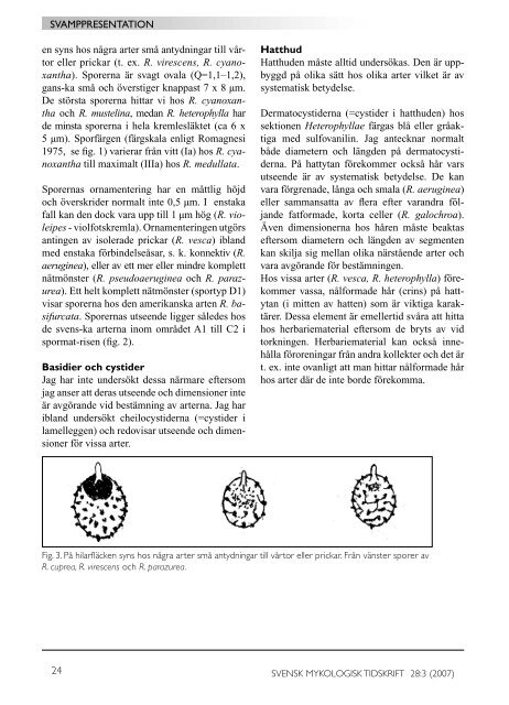 SMT 3-2007 - Sveriges Mykologiska Förening