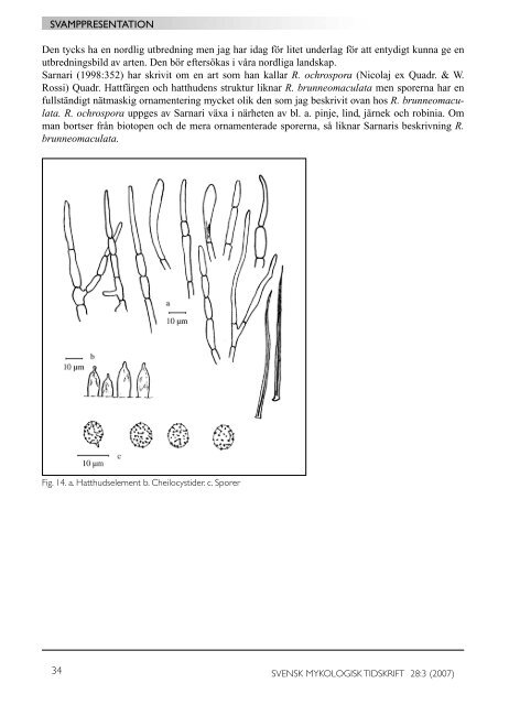 SMT 3-2007 - Sveriges Mykologiska Förening