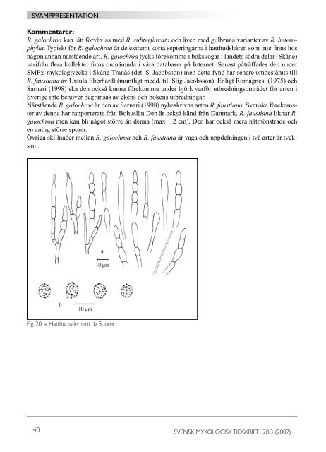 SMT 3-2007 - Sveriges Mykologiska Förening