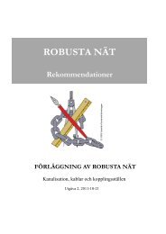 Rekomendationer Robusta Nät - SSNf