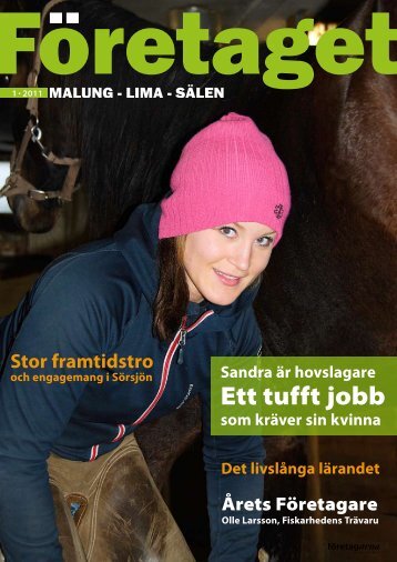 Företaget nr 1, år 2011 - Malung-Sälens kommun