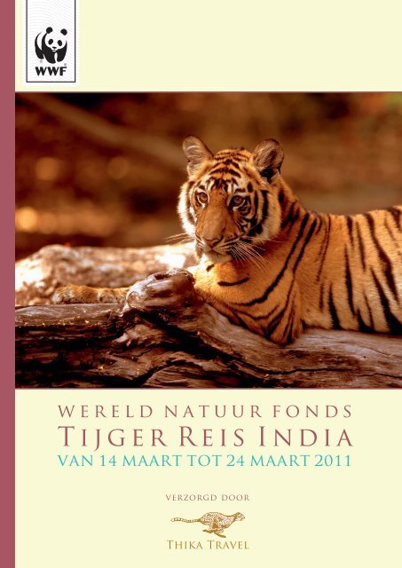 Tijger Reis India - Thika Travel